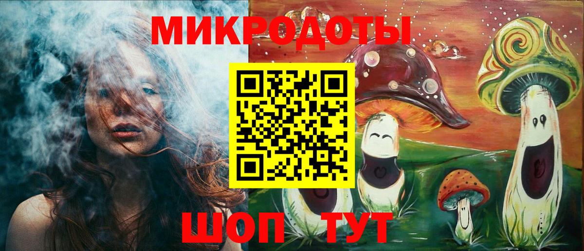 Псилоцибиновые грибы Psilocybe Пермь