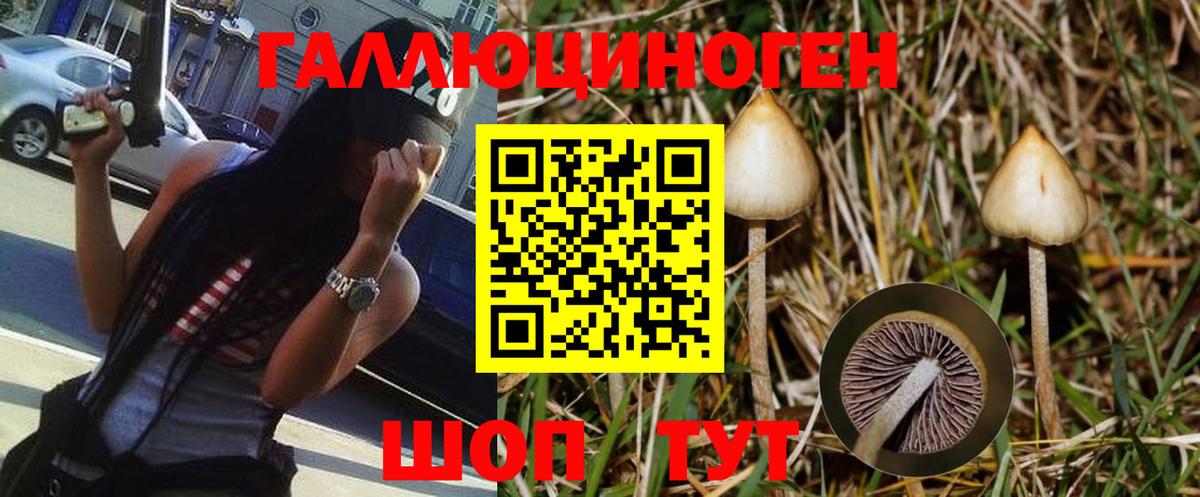 Пермь  что такое   Вход с VPN  Галлюциногенные грибы Psilocybe 